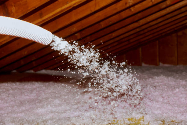 Best Insulation Maintenance and Repair in Weatherby Lake, MO