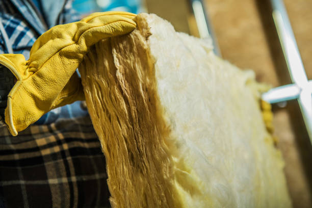 Best Insulation Installation Services in Weatherby Lake, MO